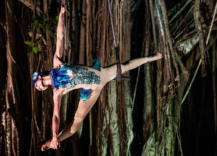 490 _j4 enternaiment _ circus _ aerial rope (7)